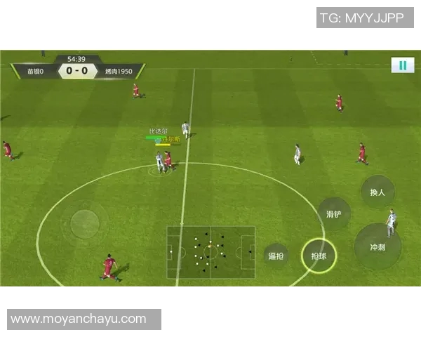 全球足球巨星汇聚各国风采展现球场魅力与荣耀